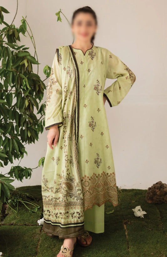 Kaira Embroidered Lawn Collection 2024 By Rashid Textile - D 8691