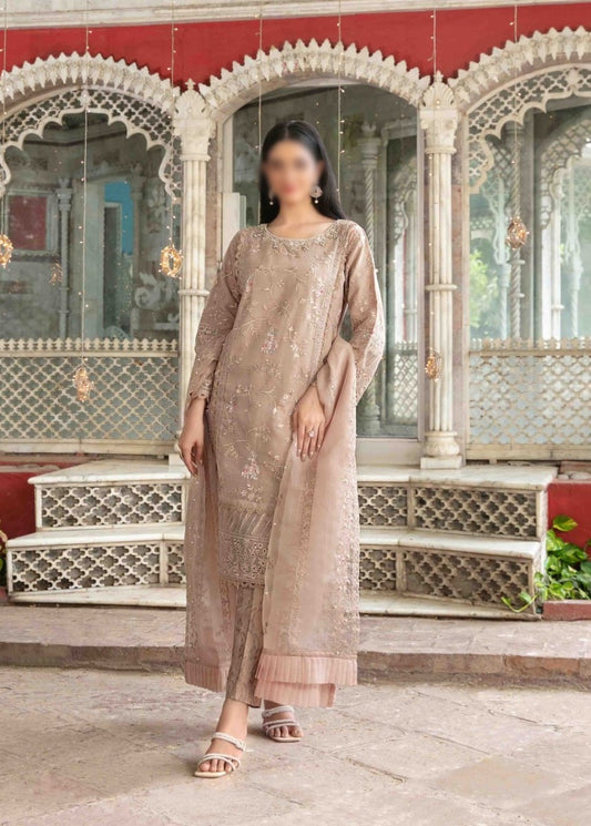 Parizah Stitched Fancy Embroidered Organza Collection 2023 - D 9087