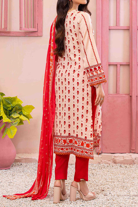 Designer Lawn Chiffon Dupatta Collection - AM - DCD 10