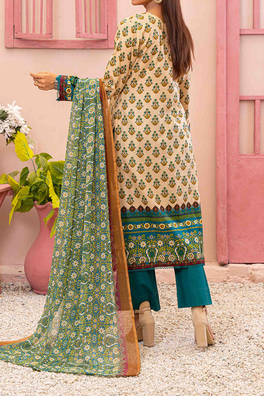 Designer Lawn Chiffon Dupatta Collection - AM - DCD 14