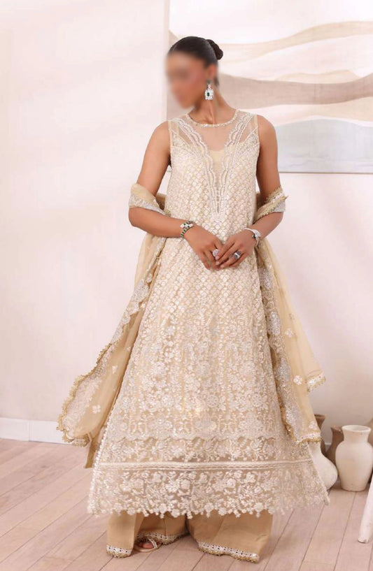 Noor Chiffon De Luxe By Saadia Asad - Design 01