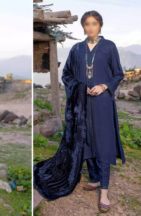 Virasat Exclusive Winter Collection By Riaz Arts - Design 01