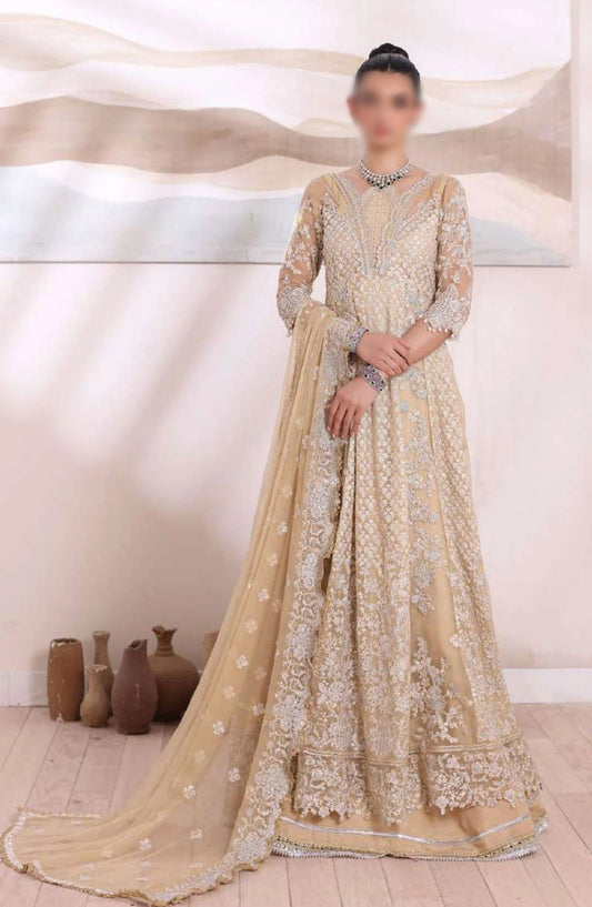 Noor Chiffon De Luxe By Saadia Asad - Design 01