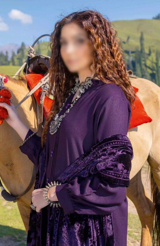 Virasat Exclusive Winter Collection By Riaz Arts - Design 03