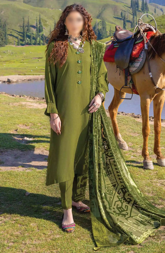 Virasat Exclusive Winter Collection By Riaz Arts - Design 04