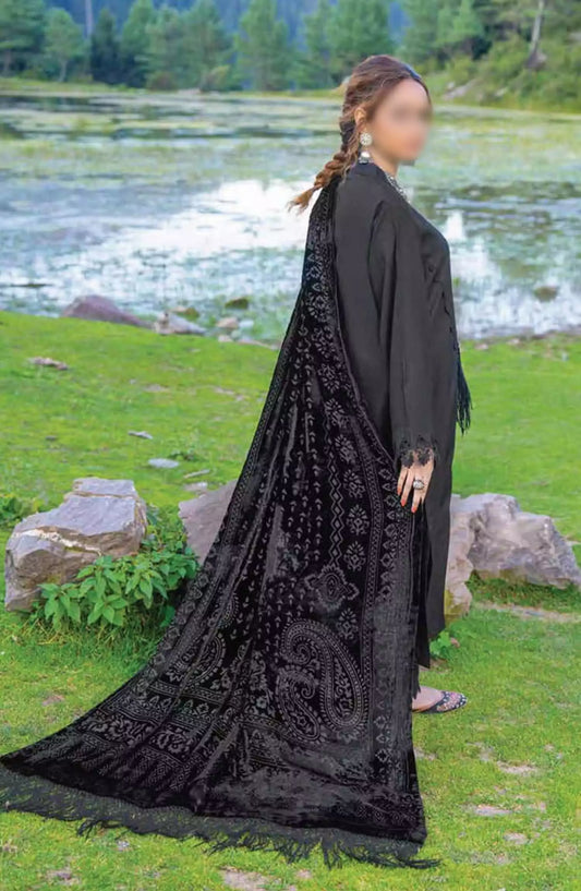 Virasat Exclusive Winter Collection By Riaz Arts - Design 05