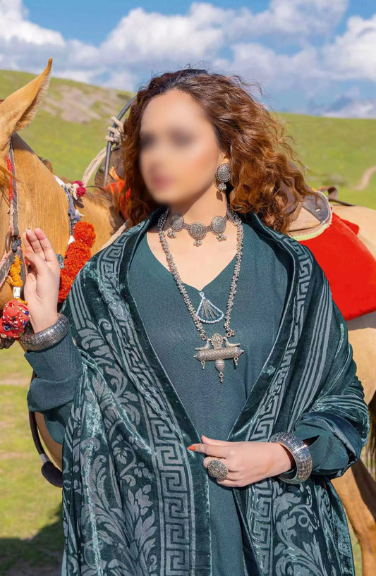 Virasat Exclusive Winter Collection By Riaz Arts - Design 07