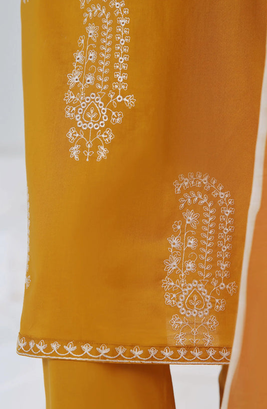 Passu Hissar RTW By Amna khadija - Design 01