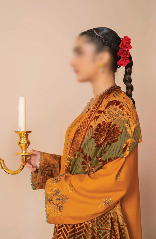 Queen Slub Dhanak Wool Collection With Palachi Shawl - Design 04