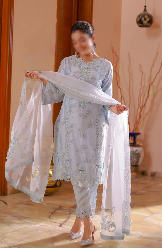 Guzel Naqsh Organza Stitched 3 Piece Collection - 05 DILARA