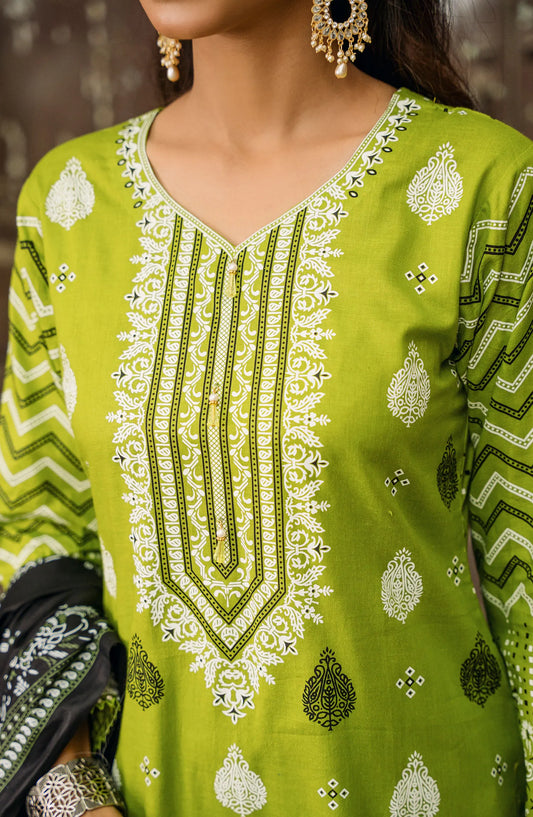 Designer Lawn 3 Pcs Printed Collection Vol 05 2024 - DL 83