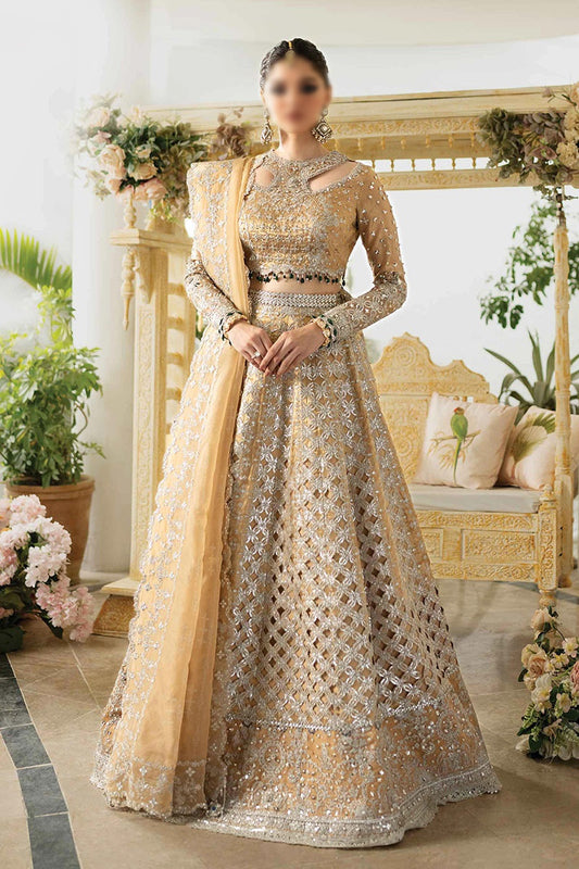 Qalamkar Dilnaz Wedding Formals 2023 - DN 01 IMAAN