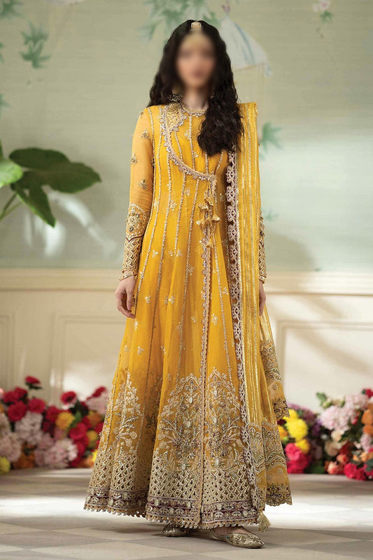 Qalamkar Dilnaz Wedding Formals 2023 - DN 04 KANZA