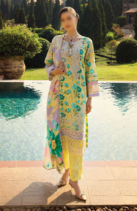 Elaf Print Chikankari Collection 2024 - ECT 06B
