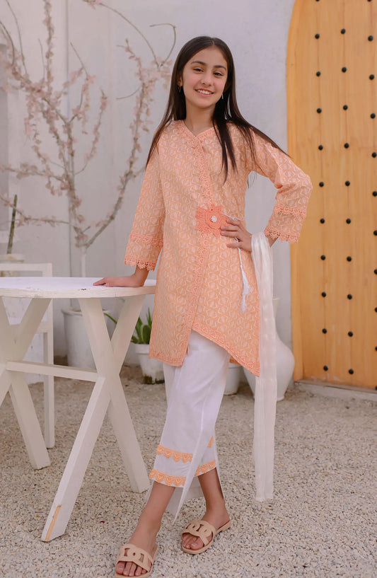 Eid Festive Pretwear Collection by Amna Khadija - EFPC 01