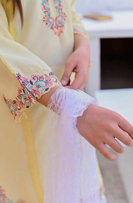 Eid Festive Pretwear Collection Vol 02 by Amna Khadija - EFPC V2 03