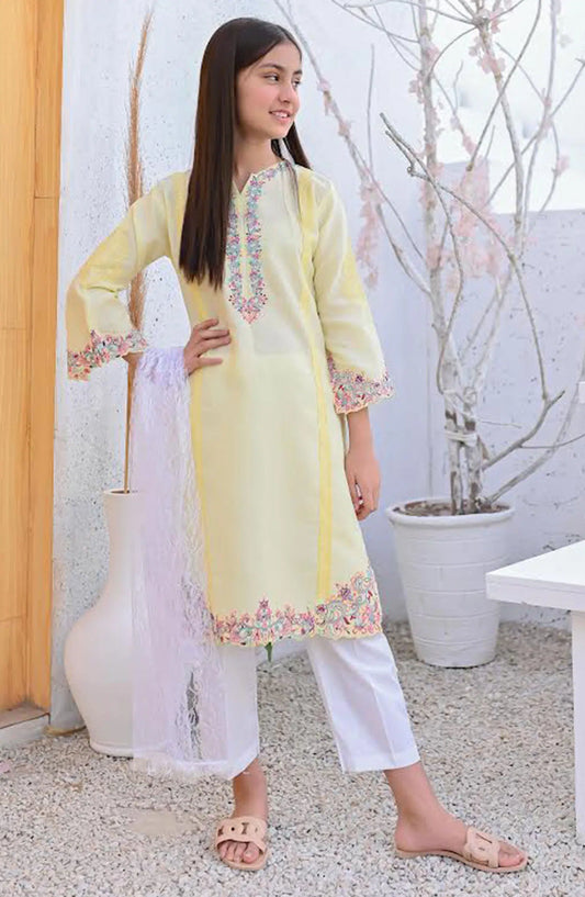 Eid Festive Pretwear Collection Vol 02 by Amna Khadija - EFPC V2 03