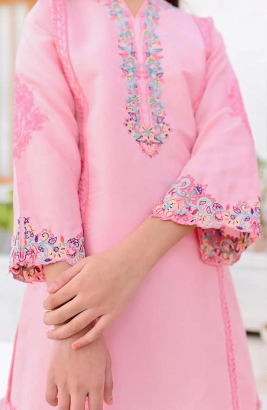 Eid Festive Pretwear Collection Vol 02 by Amna Khadija - EFPC V2 04