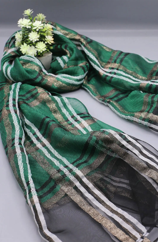 Evening Wraps Zari Net Collection 2024 - EWZN 01