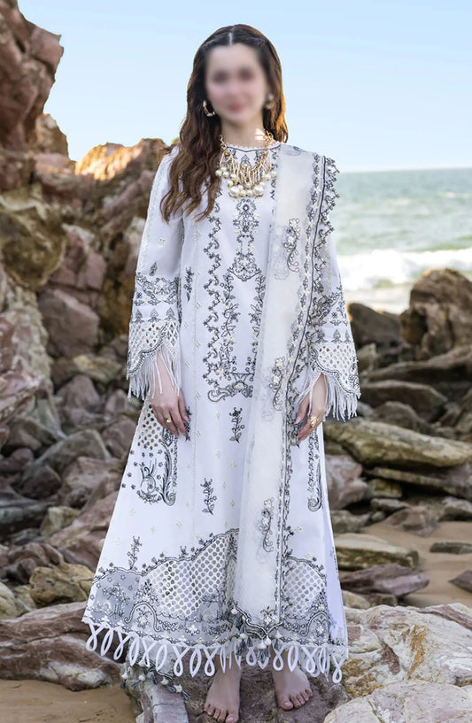 Qalamkar SAHIL KINARE Luxury Lawn Collection 2024 - FP-02 FIZA