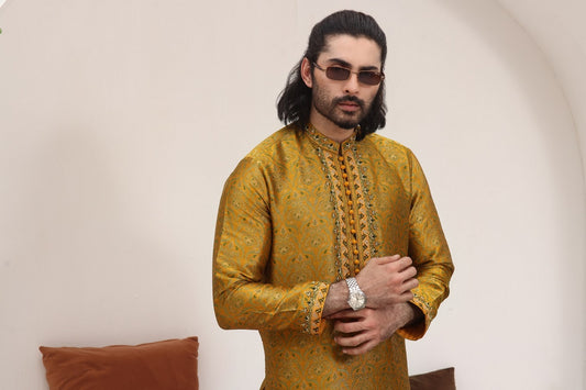 Golden Delight Gents Fancy Suits