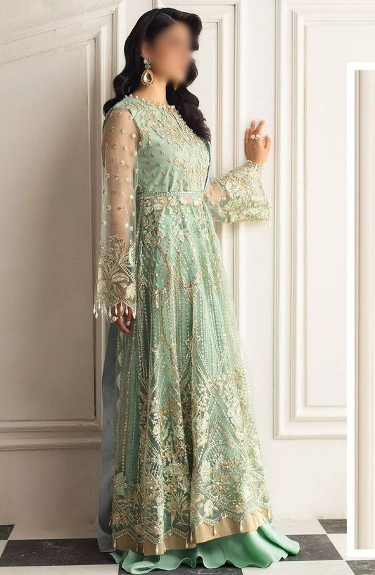 Hemline By Mushq Aura Debet Wedding Unstitched 2024 p1 - HUNWD240101 PISTACHIO