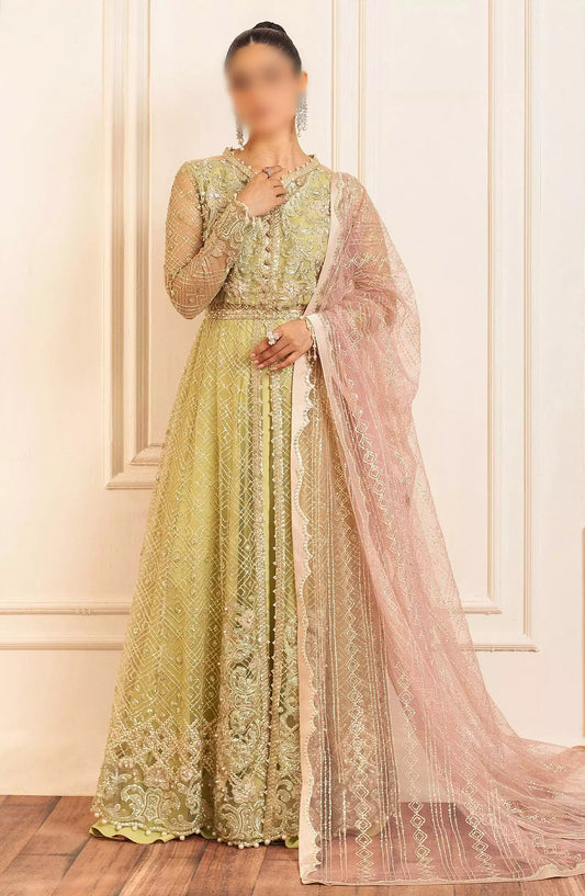 Hemline By Mushq Aura Debet Wedding Unstitched 2024 p1 - HUNWD240102 WASABI