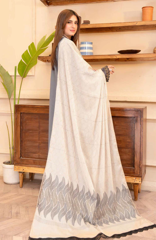 Jhoomar by Riaz Arts Embroidered Lawn Unstitched 3 Piece Suit - D-03 - RA25JHL - Grey - summer Collection