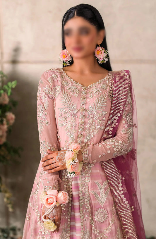 Mushq Mastani Evening Unstitched Luxury Chiffon Collection - MCH-03 MAISHA