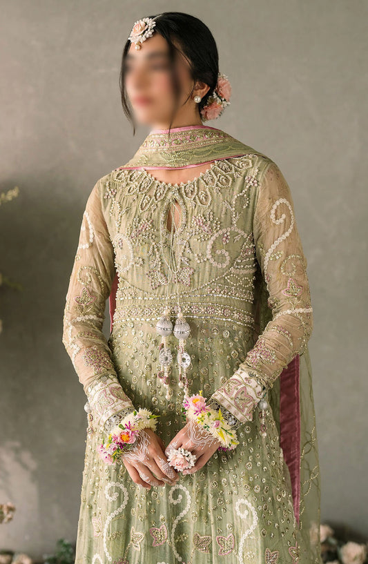 Mushq Mastani Evening Unstitched Luxury Chiffon Collection - MCH-10 NAMAR