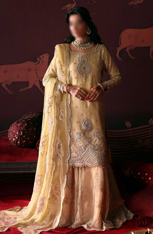 Devdas Exquisite Formal Wear By Emaan Adeel - MEERA