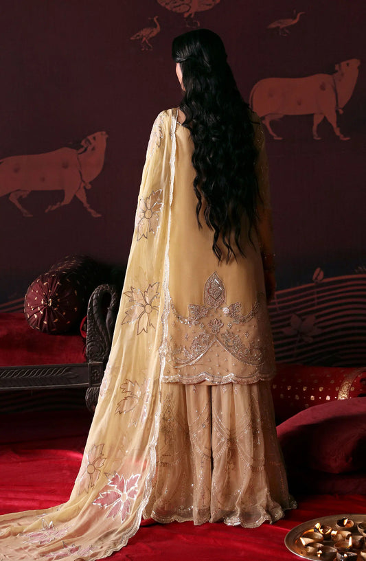 Devdas Exquisite Formal Wear By Emaan Adeel - MEERA