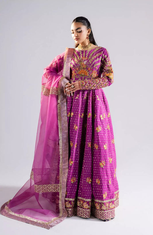 Maryum N Maria Raah Collection 2024-MS 40003 Bina