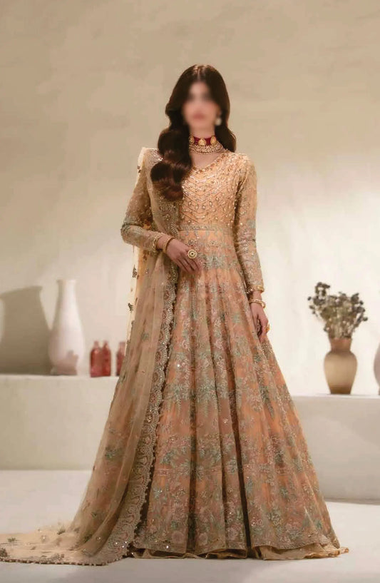 MnM Mehr-O-Maah Wedding Collection 2024 - MW23-534 NANE