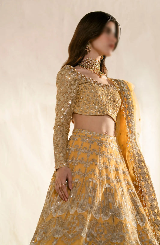 MnM Mehr-O-Maah Wedding Collection 2024 - MW23-535 ZUBERI