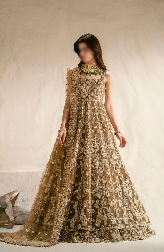 MnM Mehr-O-Maah Wedding Collection 2024 - MW23-539 BENNU