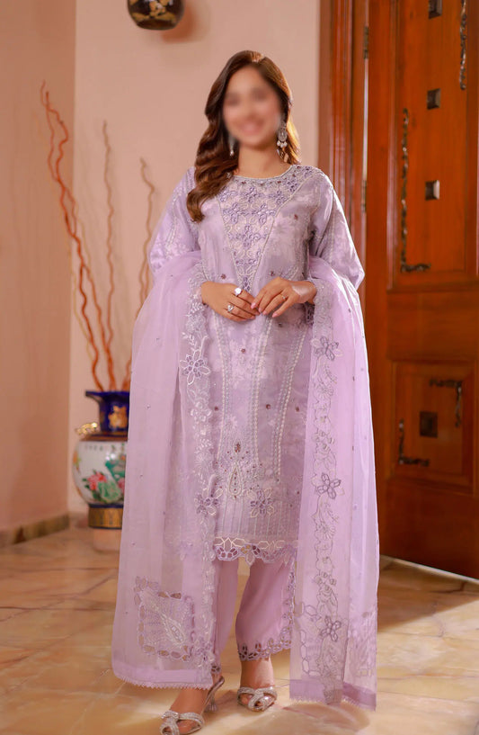 Guzel Naqsh Organza Stitched 3 Piece Collection - 06 PARSA
