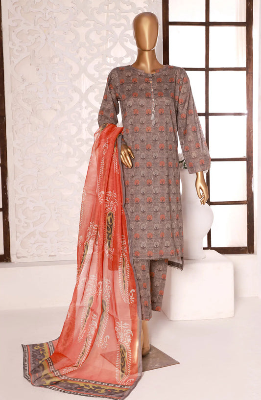 HZ Kaavish RTW Printed Co Ords Collection 2024 - PCD 402 grey
