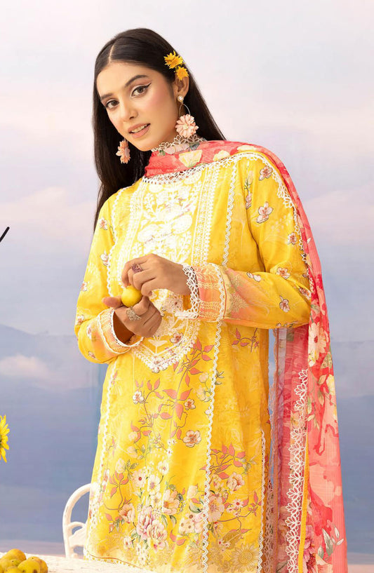 Rang Nagar Embroidered and Printed Unstitched Lawn Collection By NUR Vol 02 - RN-401