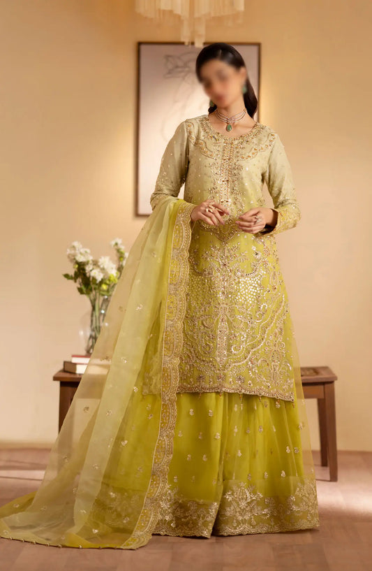 Romansiyyah Luxury Formals By Emaan Adeel - Sabian