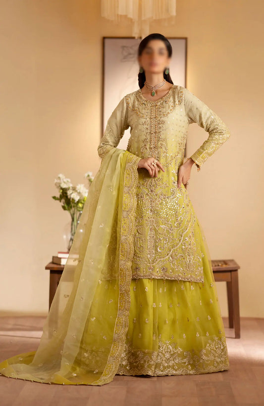Romansiyyah Luxury Formals By Emaan Adeel - Sabian