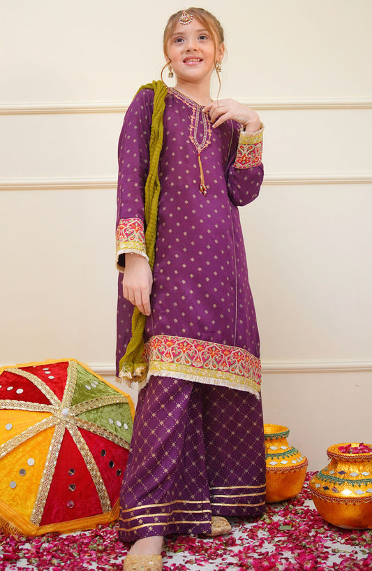Shanzey Embroidered Raw Silk Stitched 3 Piece Suit - SHK-4503 - SHZ25SHES - Purple - Festive Collection