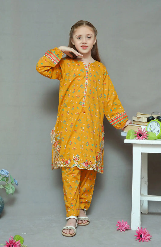 Shanzey Co Ords Lawn Embroidered Collection 2024 - SHK-1926