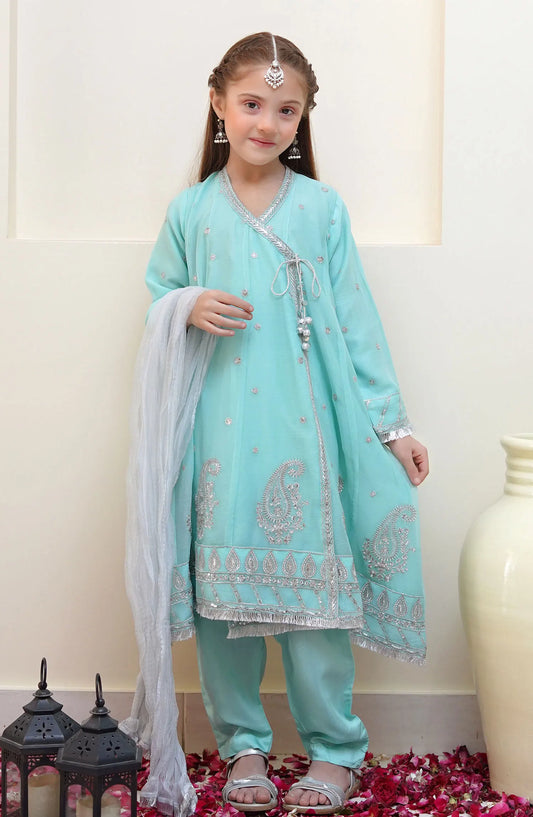 Shanzey Festive Angrakha Edit Collection - SHK  2201 Sky Blue