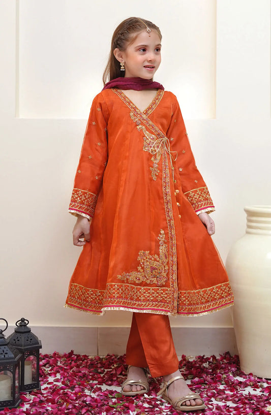 Shanzey Festive Angrakha Edit Collection - SHK  2203 Rust