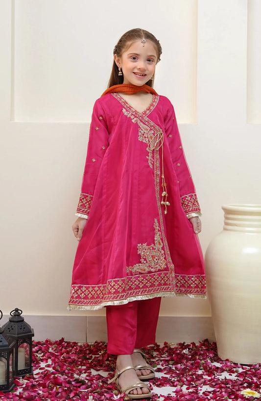 Shanzey Festive Angrakha Edit Collection - SHK  2204 Pink