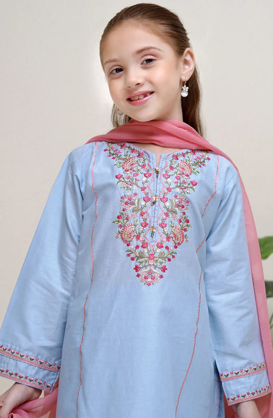 Shanzey Bari Eid Cotton Edit 2024 Vol-2 - SHK 2514 Jeans