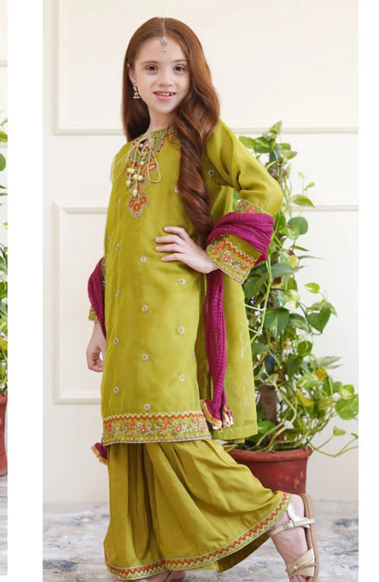 Shanzey Eid Boutique Formal Collection 2024 - SHK 2606 Mehendi