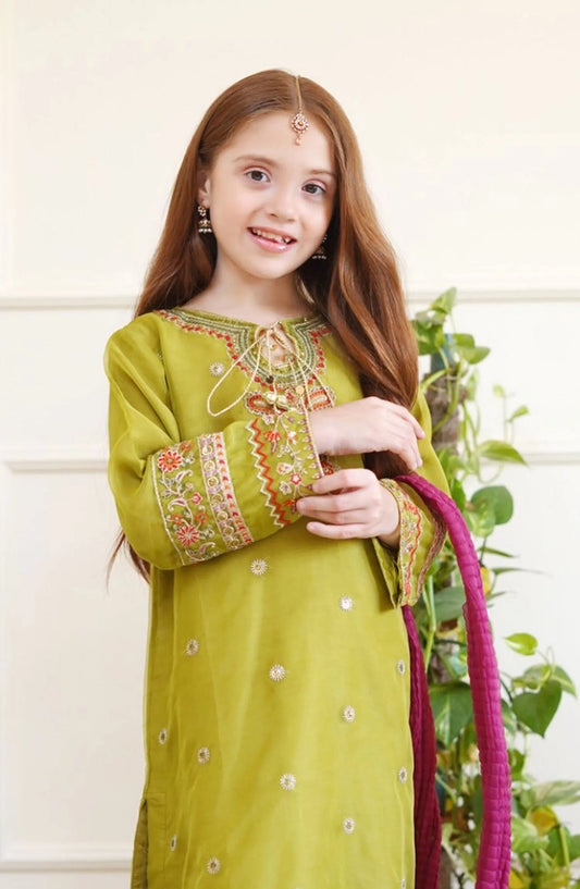 Shanzey Eid Boutique Formal Collection 2024 - SHK 2606 Mehendi