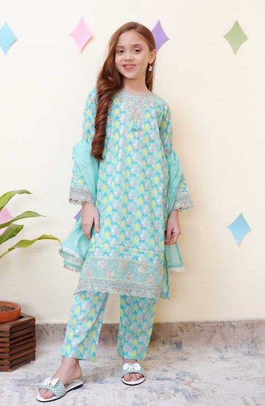 Shanzey Embroidered Co-Ords Cotton Stitched 3 Piece - SHK-3401-SKY BLUE - Sky Blue - Summer Collection